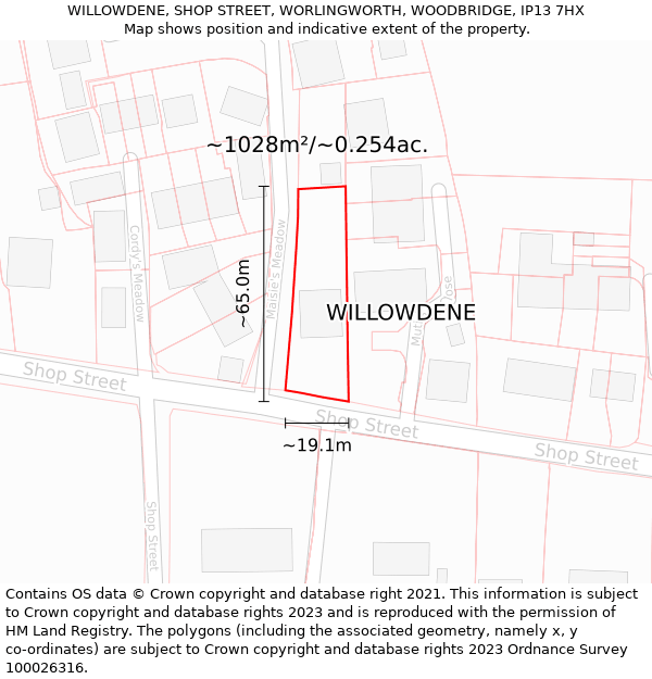 WILLOWDENE, SHOP STREET, WORLINGWORTH, WOODBRIDGE, IP13 7HX: Plot and title map