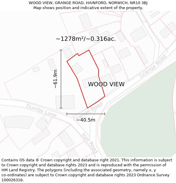 WOOD VIEW, GRANGE ROAD, HAINFORD, NORWICH, NR10 3BJ: Plot and title map