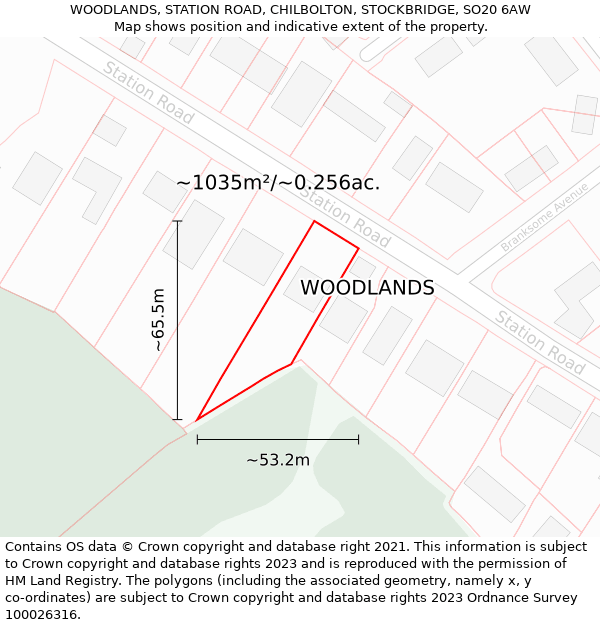 WOODLANDS, STATION ROAD, CHILBOLTON, STOCKBRIDGE, SO20 6AW: Plot and title map