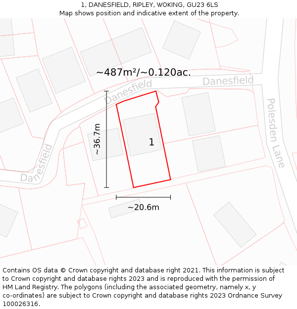 1, DANESFIELD, RIPLEY, WOKING, GU23 6LS: Plot and title map