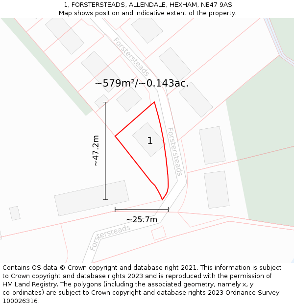 1, FORSTERSTEADS, ALLENDALE, HEXHAM, NE47 9AS: Plot and title map