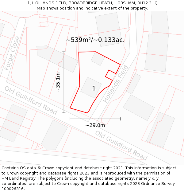 1, HOLLANDS FIELD, BROADBRIDGE HEATH, HORSHAM, RH12 3HQ: Plot and title map