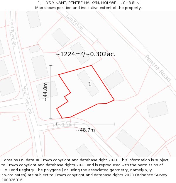 1, LLYS Y NANT, PENTRE HALKYN, HOLYWELL, CH8 8LN: Plot and title map