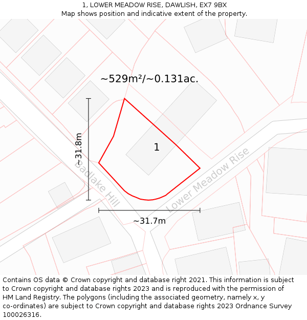 1, LOWER MEADOW RISE, DAWLISH, EX7 9BX: Plot and title map