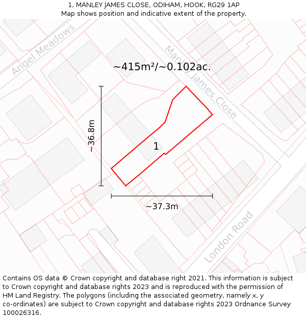 1, MANLEY JAMES CLOSE, ODIHAM, HOOK, RG29 1AP: Plot and title map