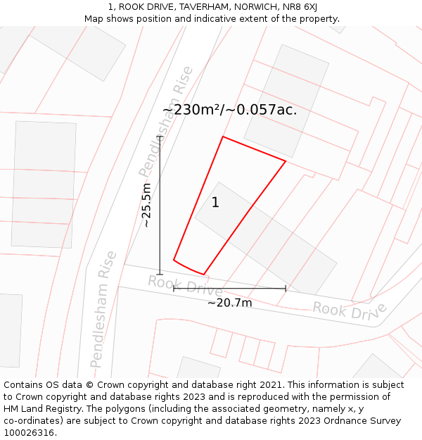 1, ROOK DRIVE, TAVERHAM, NORWICH, NR8 6XJ: Plot and title map