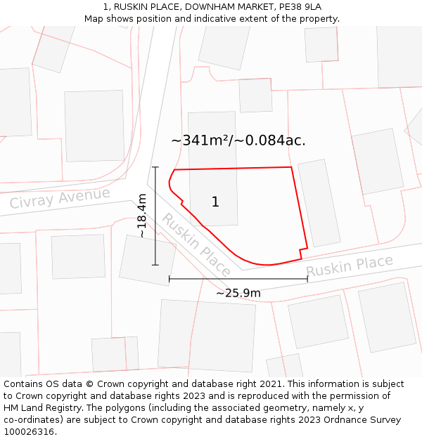 1, RUSKIN PLACE, DOWNHAM MARKET, PE38 9LA: Plot and title map
