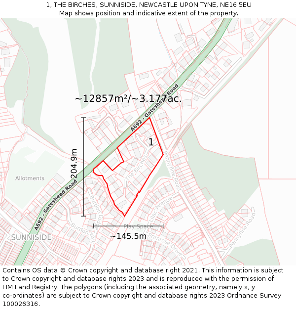 1, THE BIRCHES, SUNNISIDE, NEWCASTLE UPON TYNE, NE16 5EU: Plot and title map