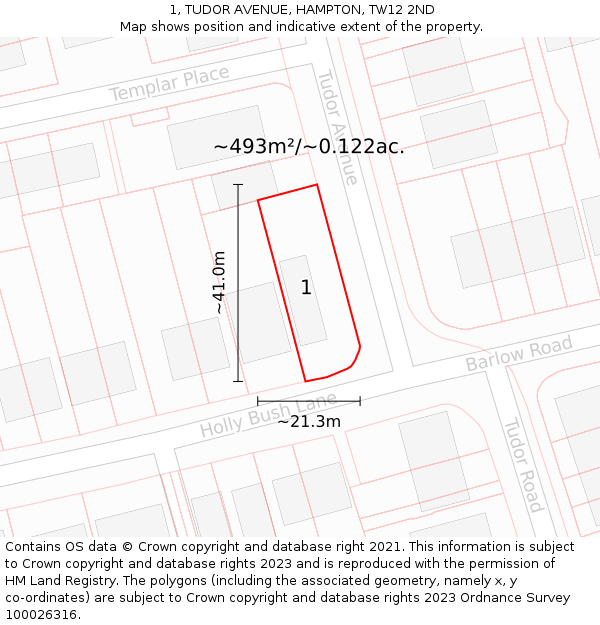 1, TUDOR AVENUE, HAMPTON, TW12 2ND: Plot and title map