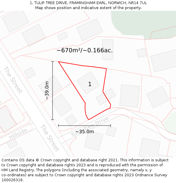 1, TULIP TREE DRIVE, FRAMINGHAM EARL, NORWICH, NR14 7UL: Plot and title map