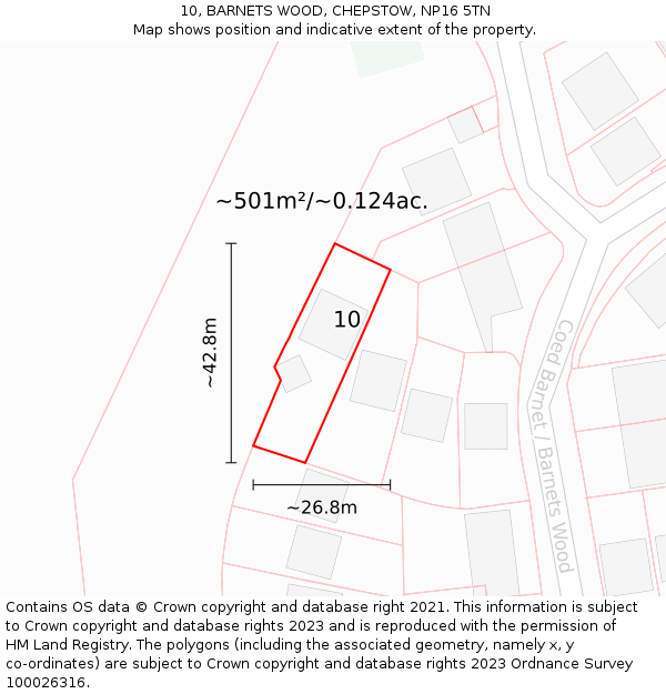 10, BARNETS WOOD, CHEPSTOW, NP16 5TN: Plot and title map