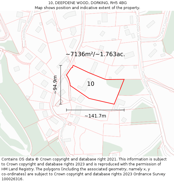 10, DEEPDENE WOOD, DORKING, RH5 4BG: Plot and title map