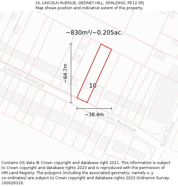 10, LINCOLN AVENUE, GEDNEY HILL, SPALDING, PE12 0PJ: Plot and title map