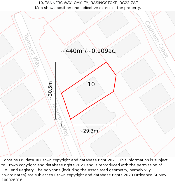 10, TANNERS WAY, OAKLEY, BASINGSTOKE, RG23 7AE: Plot and title map