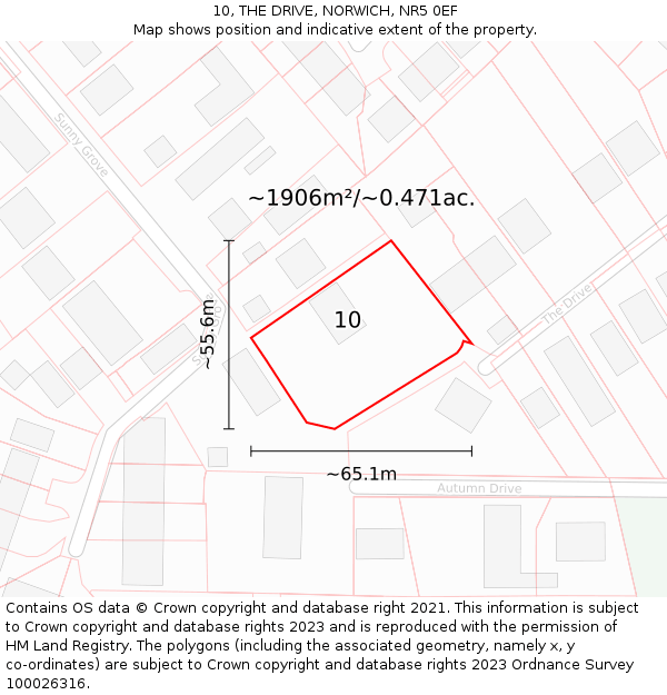10, THE DRIVE, NORWICH, NR5 0EF: Plot and title map