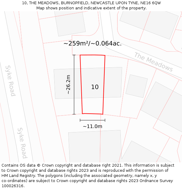 10, THE MEADOWS, BURNOPFIELD, NEWCASTLE UPON TYNE, NE16 6QW: Plot and title map