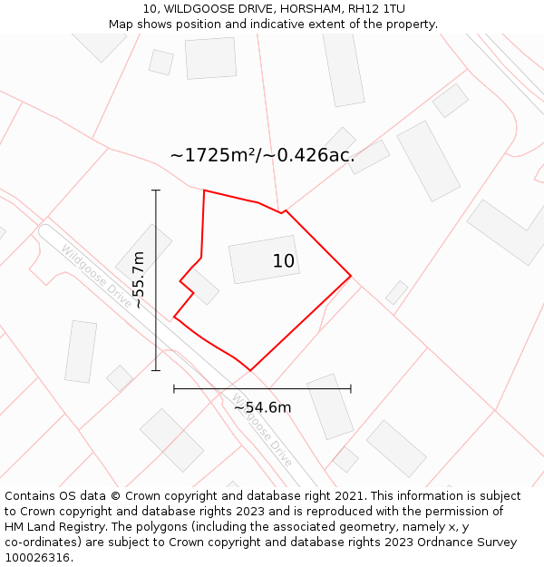 10, WILDGOOSE DRIVE, HORSHAM, RH12 1TU: Plot and title map