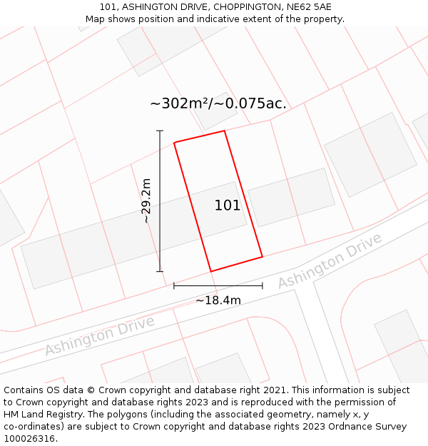 101, ASHINGTON DRIVE, CHOPPINGTON, NE62 5AE: Plot and title map