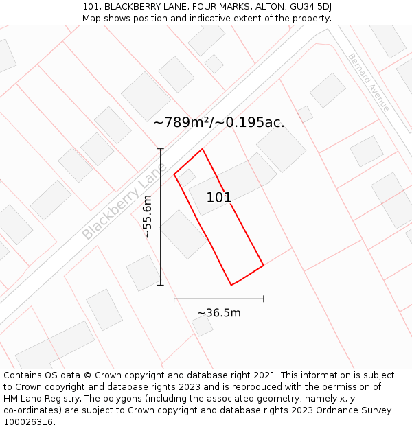 101, BLACKBERRY LANE, FOUR MARKS, ALTON, GU34 5DJ: Plot and title map