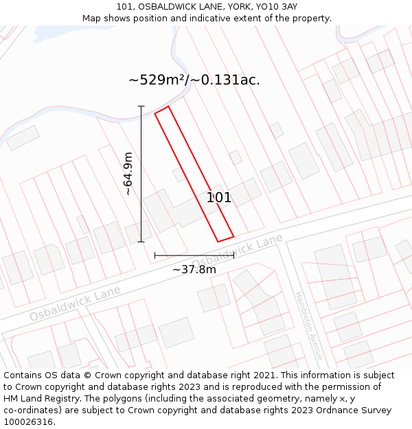 101, OSBALDWICK LANE, YORK, YO10 3AY: Plot and title map