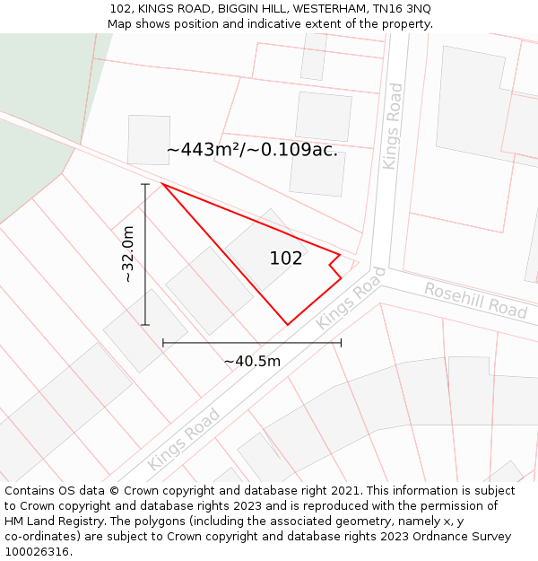 102, KINGS ROAD, BIGGIN HILL, WESTERHAM, TN16 3NQ: Plot and title map