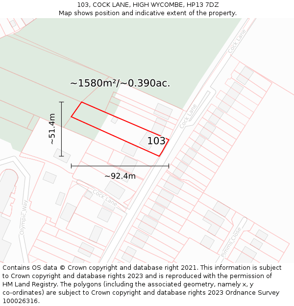 103, COCK LANE, HIGH WYCOMBE, HP13 7DZ: Plot and title map