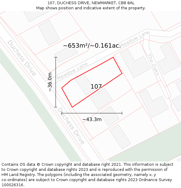 107, DUCHESS DRIVE, NEWMARKET, CB8 8AL: Plot and title map