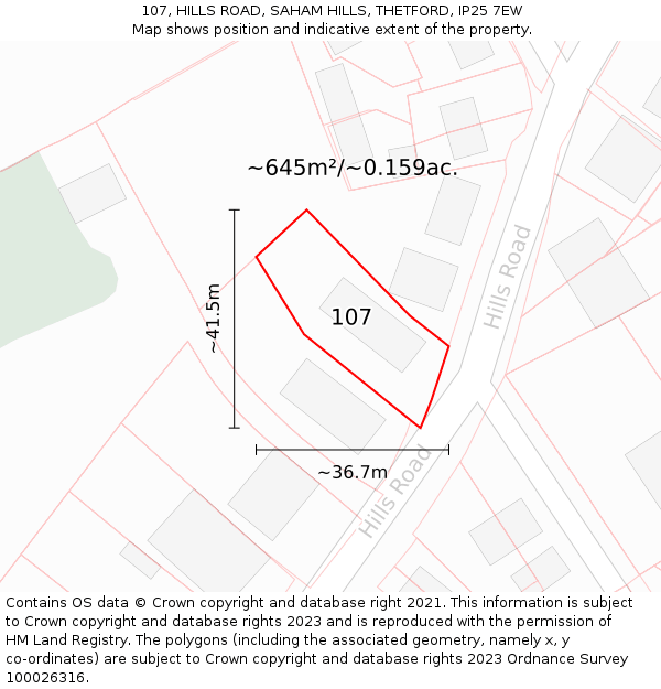 107, HILLS ROAD, SAHAM HILLS, THETFORD, IP25 7EW: Plot and title map