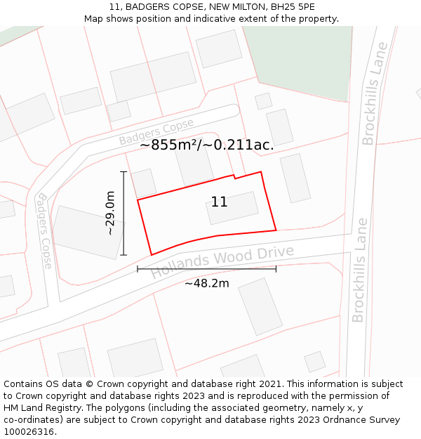 11, BADGERS COPSE, NEW MILTON, BH25 5PE: Plot and title map