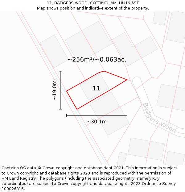 11, BADGERS WOOD, COTTINGHAM, HU16 5ST: Plot and title map