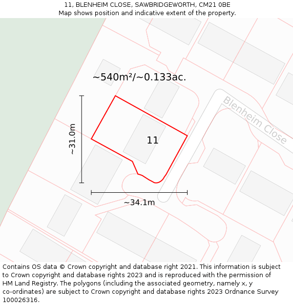 11, BLENHEIM CLOSE, SAWBRIDGEWORTH, CM21 0BE: Plot and title map