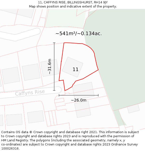 11, CAFFYNS RISE, BILLINGSHURST, RH14 9JY: Plot and title map