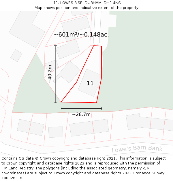 11, LOWES RISE, DURHAM, DH1 4NS: Plot and title map