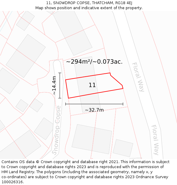 11, SNOWDROP COPSE, THATCHAM, RG18 4EJ: Plot and title map