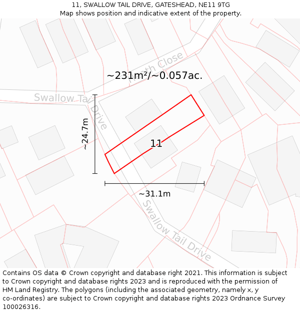 11, SWALLOW TAIL DRIVE, GATESHEAD, NE11 9TG: Plot and title map