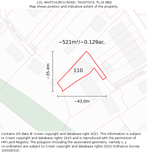 110, WHITCHURCH ROAD, TAVISTOCK, PL19 9BQ: Plot and title map