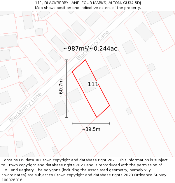 111, BLACKBERRY LANE, FOUR MARKS, ALTON, GU34 5DJ: Plot and title map