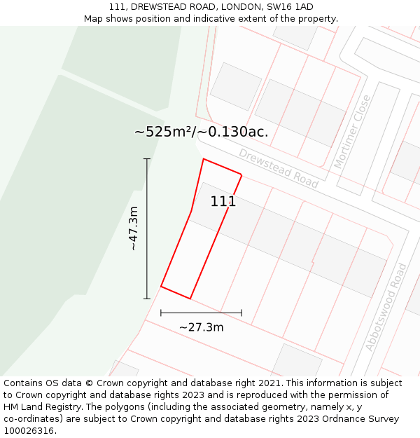 111, DREWSTEAD ROAD, LONDON, SW16 1AD: Plot and title map