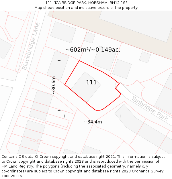111, TANBRIDGE PARK, HORSHAM, RH12 1SF: Plot and title map