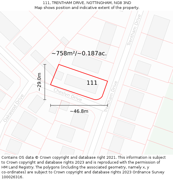 111, TRENTHAM DRIVE, NOTTINGHAM, NG8 3ND: Plot and title map