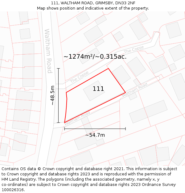 111, WALTHAM ROAD, GRIMSBY, DN33 2NF: Plot and title map