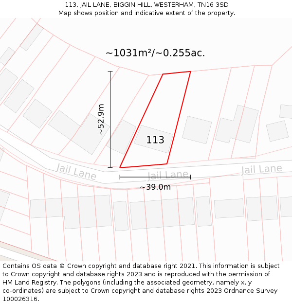 113, JAIL LANE, BIGGIN HILL, WESTERHAM, TN16 3SD: Plot and title map