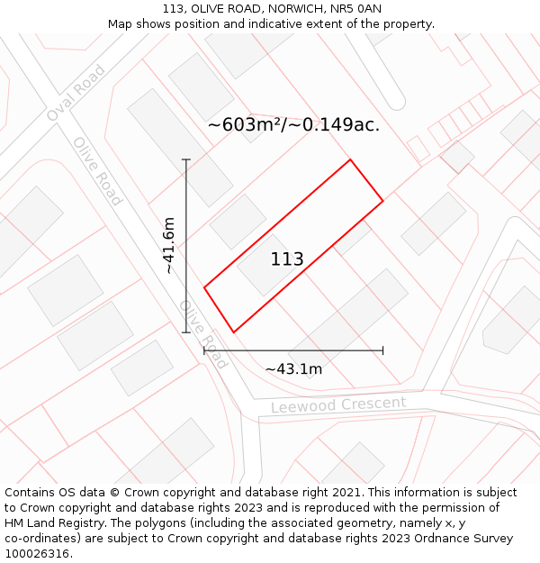 113, OLIVE ROAD, NORWICH, NR5 0AN: Plot and title map