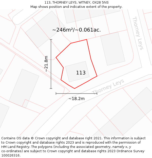 113, THORNEY LEYS, WITNEY, OX28 5NS: Plot and title map