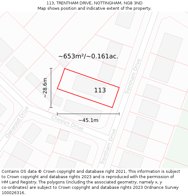 113, TRENTHAM DRIVE, NOTTINGHAM, NG8 3ND: Plot and title map