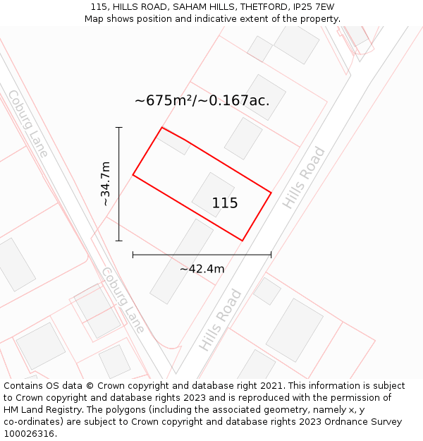 115, HILLS ROAD, SAHAM HILLS, THETFORD, IP25 7EW: Plot and title map