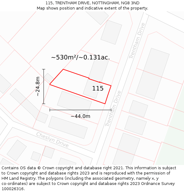 115, TRENTHAM DRIVE, NOTTINGHAM, NG8 3ND: Plot and title map