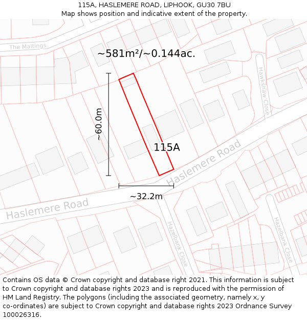 115A, HASLEMERE ROAD, LIPHOOK, GU30 7BU: Plot and title map