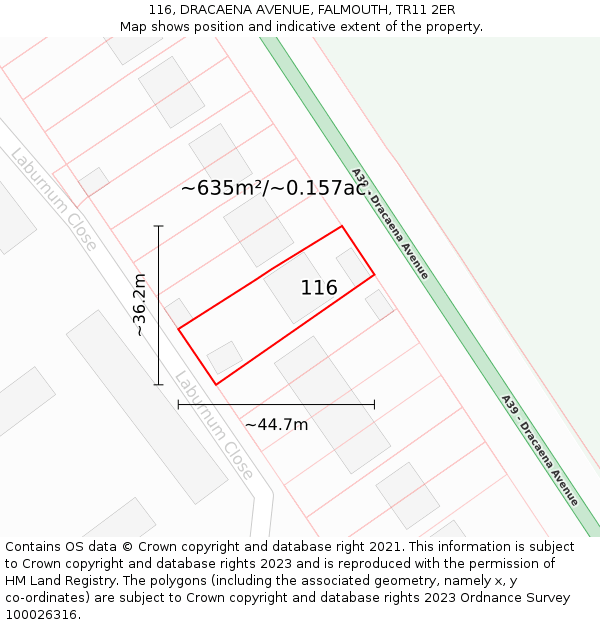 116, DRACAENA AVENUE, FALMOUTH, TR11 2ER: Plot and title map