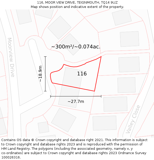 116, MOOR VIEW DRIVE, TEIGNMOUTH, TQ14 9UZ: Plot and title map
